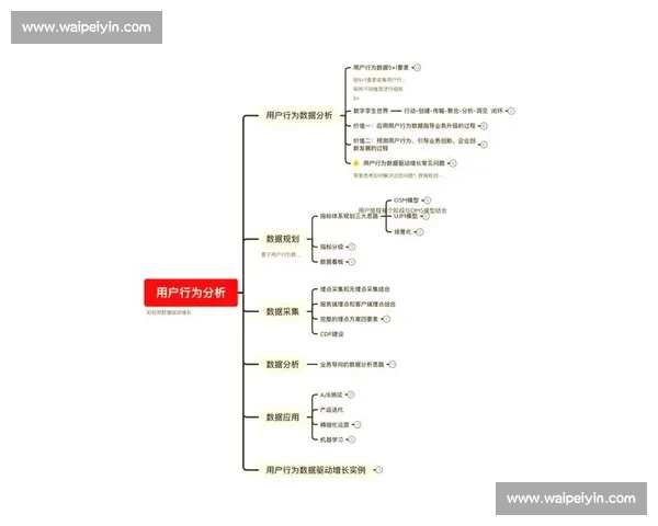 数据驱动视角下行业趋势与用户行为变化的深度解读与洞察实证分析