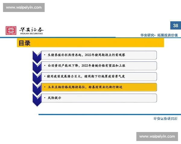 持续关注与长期投入：如何保持热情并实现持续进步的有效策略