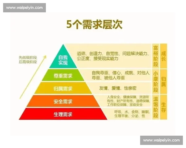 积分赛制下全面激励机制与选手排名优化策略研究